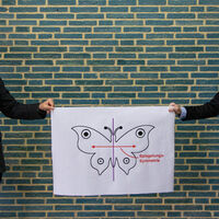 Prof. Dalitz und M.Sc. Neumann erläutern eine Symmetrie Foto Christoph Dalitz & Christian Neumann