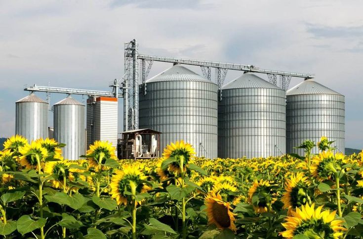 Das Projekt CONUS soll einen Beitrag zur sauberen Landwirtschaft leisten. 