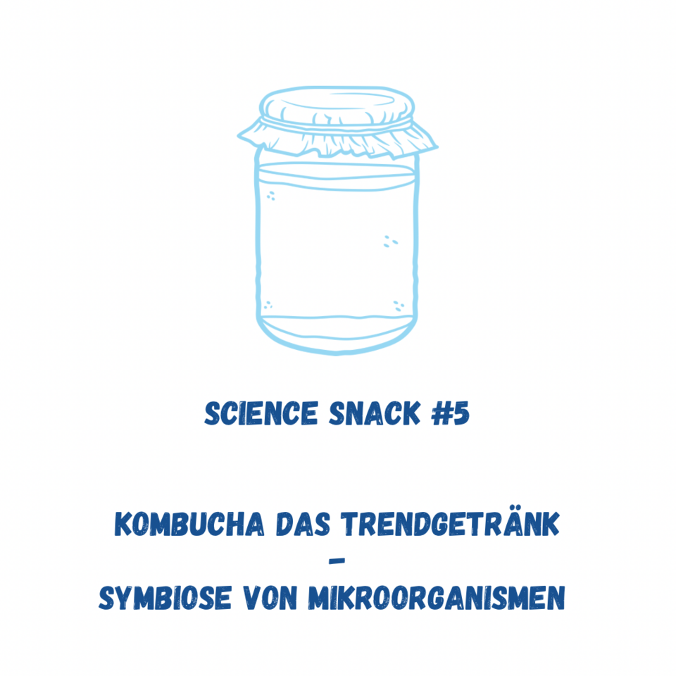 SCIENCE SNACK