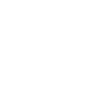 Icon Direction