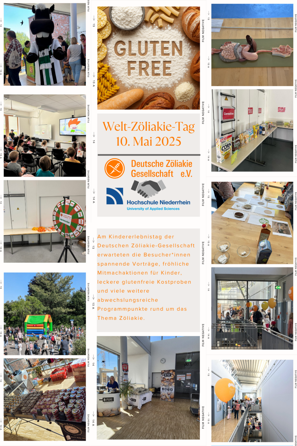 Collage des Kinder Erlebnis Tages