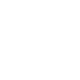 Icon Auge