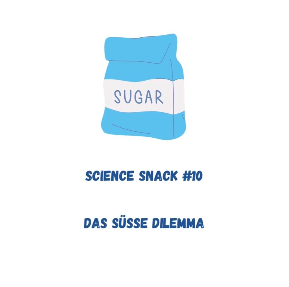 Icon zum Science Snack #10