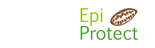 Forschung EpiProtect, Epichatechin, Prof. Dr. habil. Sabine Ellinger