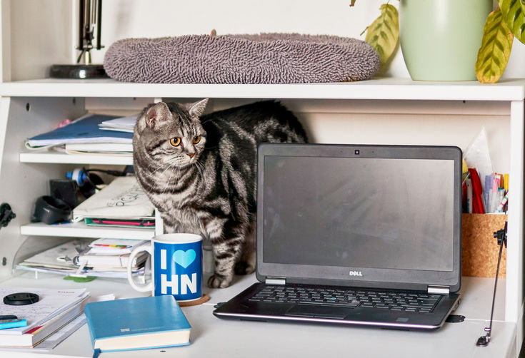 Einsam im Homeoffice waren in diesem Jahr nicht nur Studierende. 