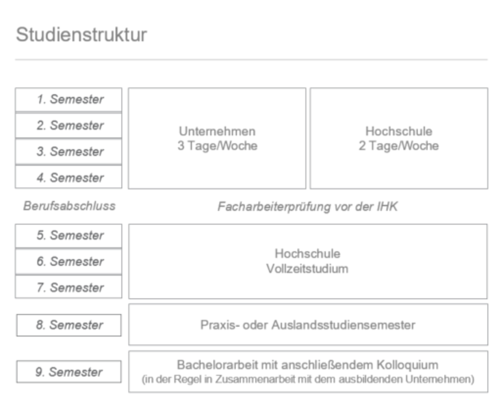 Studienstruktur