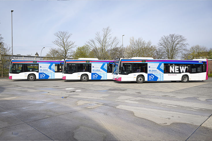 Busse mit HSNR