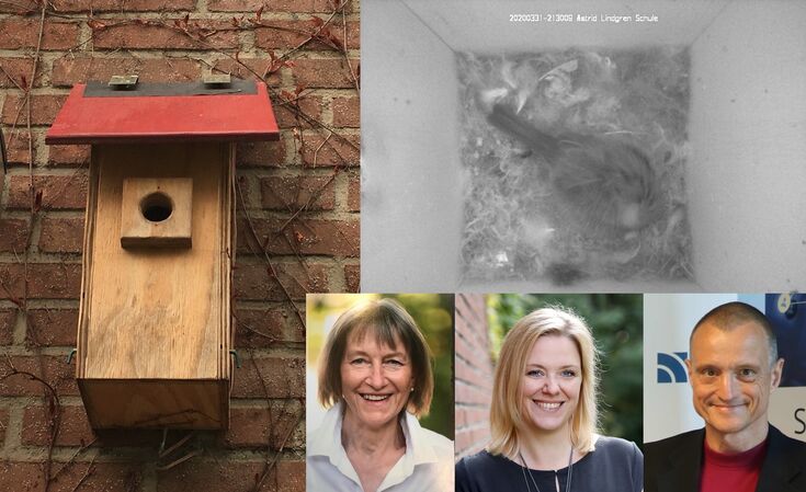Die Collage zeigt eine Meise im Nistkasten, Nistkasten an der Turnhallenwand, Schulleiterin Cerstin Pelz, Christa Röhrscheid, Prof. Dr. Claus Brell.