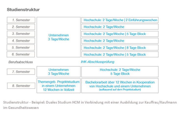 Studienstruktur HCM Dual