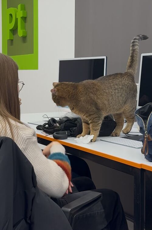 Foto: Ajla Hasic Sarajevo