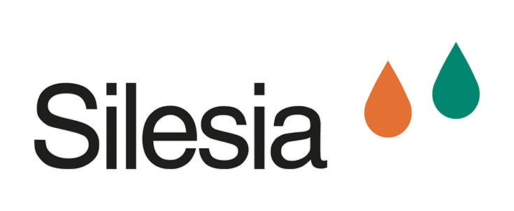 Logo Silesia-Clemens Hanke-Stiftung
